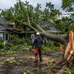 Storm Damage Tree Service Buffalo NY: Common Risks & Solutions
