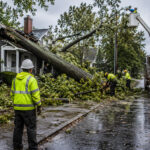 Who provides emergency tree removal near me? 