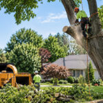 Why Homeowners Trust  Tree Service in Amherst NY for Safe Tree Care